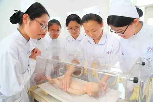 威海市卫生学校 白衣天使的摇篮，中医养生保健服务专业招生启动